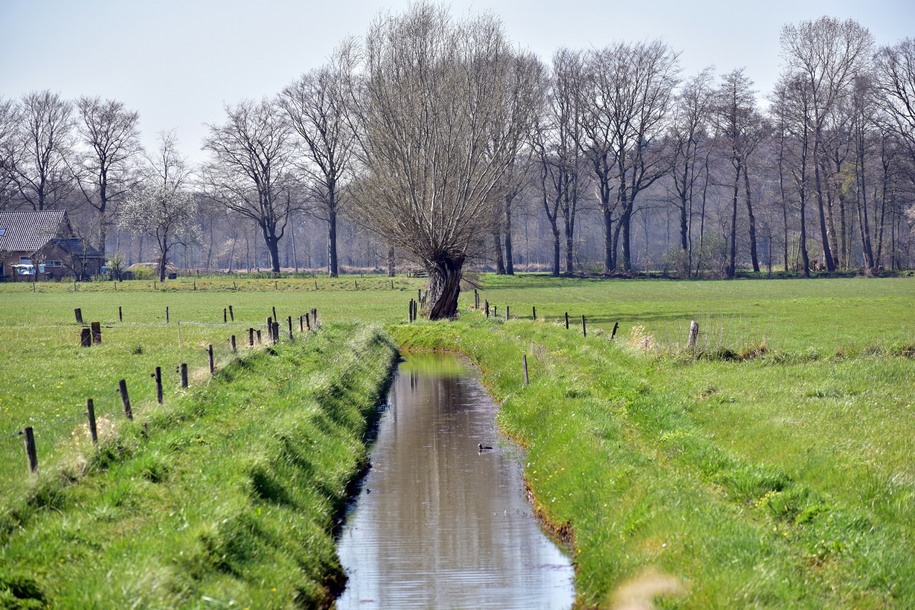 ries-bosch-TJjkdzKQGsY-unsplash-2