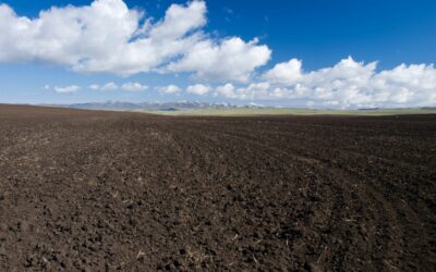 We Trench in Clay, Sand, Loam and Hell… Here’s What Actually Matters