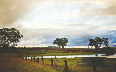 Before You Replace the Waterer, Read This: A Farmer’s Guide to Low Pressure on Livestock Lines