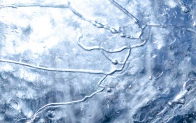 Your Stock Tank Freezes Every Winter for a Reason. Here’s What’s Actually Going On.
